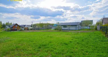 Plot of land in Lahojsk selsaviet, Belarus