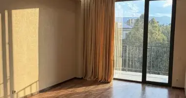 2 bedroom apartment in Tbilisi, Georgia
