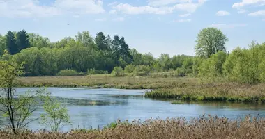 Terrain dans Paezeriai, Lituanie