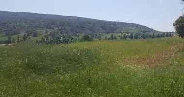 Apartment in Monagrouli, Cyprus