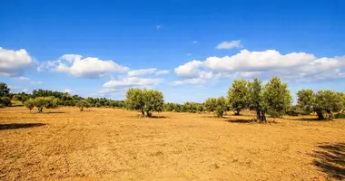 Parcela en Kassandrino, Grecia