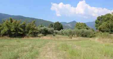 Terrain dans Skotina, Grèce