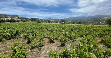 Terrain dans Omodos, Chypre