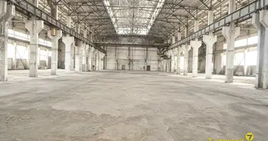Produktion 12 000 m² in Nowalukoml, Belarus