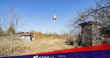 Участок земли в Раковский сельский Совет, Беларусь