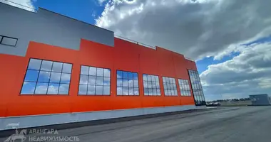 Склад 1 415 м² в Фанипольский сельский Совет, Беларусь