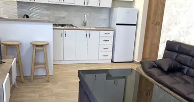 1 Bedroom Apartmet for Rent in Tbilisi en Tiflis, Georgia