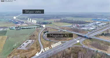 Działka w Polesie, Litwa