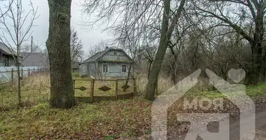 Haus in Malinouscyna, Belarus