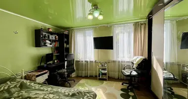 Haus in Baryssau, Belarus