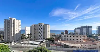 Apartment in Alicante, Spain