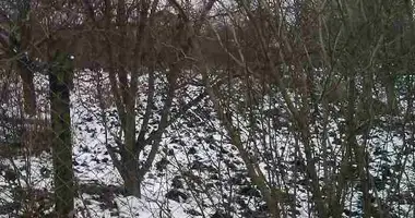 Plot of land in Odesa, Ukraine
