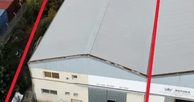 Lager 826 m² in Ypsonas Municipality, Zypern