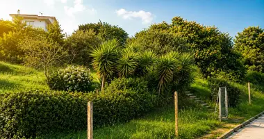 Plot of land in Palafolls, Spain