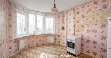 2 bedroom apartment in Minsk, Belarus