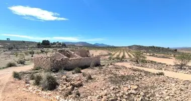 Parcela en Pinoso, Španjolska
