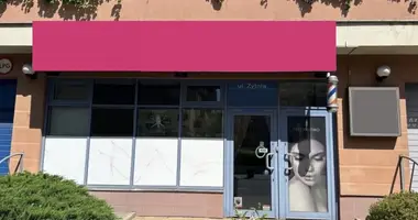 Propriété commerciale 85 m² dans Varsovie, Pologne