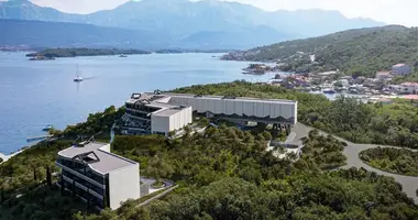 Инвестиционная 16 287 м² в Радовичи, Черногория