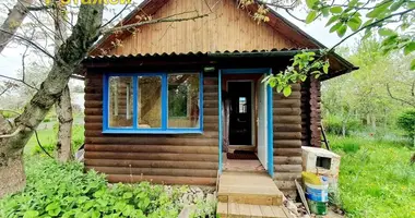House in Piatryskauski sielski Saviet, Belarus