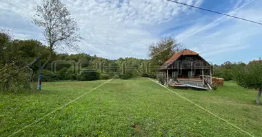 Dom w Opcina Netretic, Chorwacja