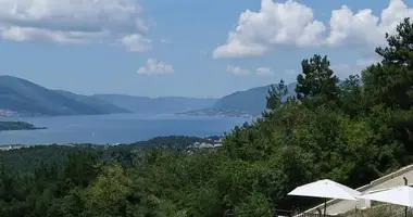 Wohnung 1 Schlafzimmer in Tivat, Montenegro