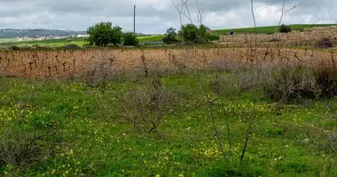 Plot of land in Kathikas, Cyprus
