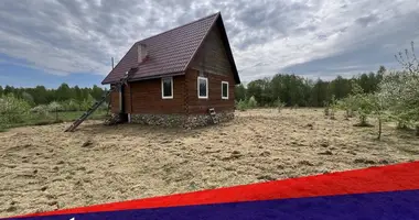 House in Viazynski sielski Saviet, Belarus