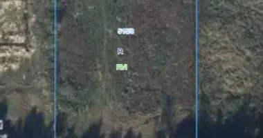 Plot of land in Wioska, Poland