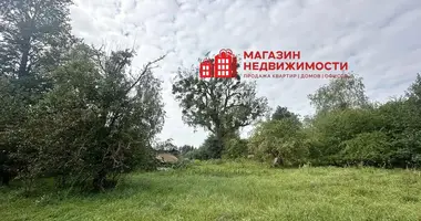 Plot of land in Kvasouski sielski Saviet, Belarus