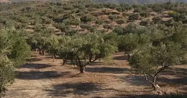 Parcela en Koukaki, Grecia
