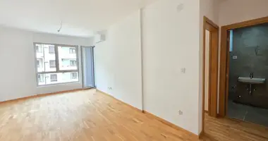 Apartamento 1 habitacion en Becici, Montenegro