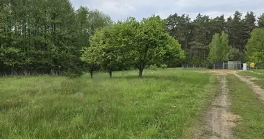 Wohnung in Nekielka, Polen