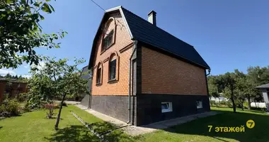 House in Rakauski sielski Saviet, Belarus