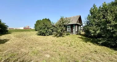 Dom w Kosina, Białoruś
