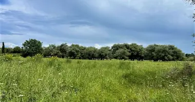 Grundstück in Roda, Griechenland