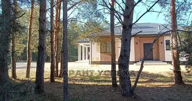 House in Muchaviecki sielski Saviet, Belarus