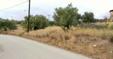 Plot of land in Polygyros Municipality, Greece