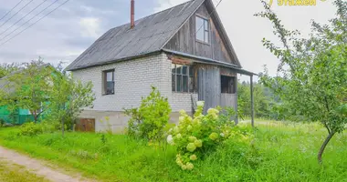 Dom w Ozyaritska Slabadski rural council, Białoruś