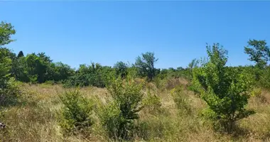 Parcela en Opcina Marcana, Croacia