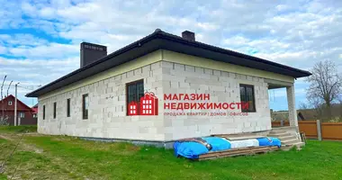 House in Kapciouski sielski Saviet, Belarus