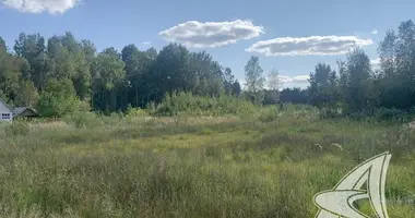 Участок земли в Мухавецкий сельский Совет, Беларусь