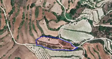 Квартира в Полеми, Кипр