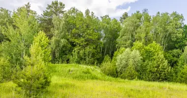 Casa grande en municipalnyj okrug Istra, Rusia