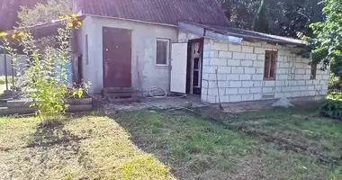 House in Zdanovicki sielski Saviet, Belarus