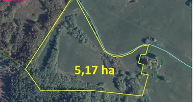 Участок земли в Плунгеский район, Литва