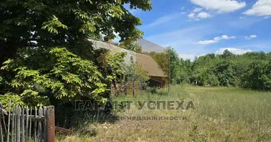 Grundstück in Kisieliaviecki sielski Saviet, Belarus