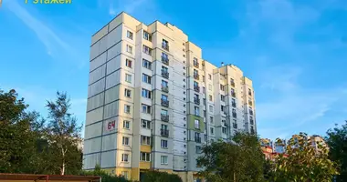 2 room apartment in Minsk, Belarus
