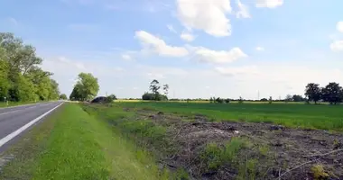 Участок земли в Bliudziskiai, Литва