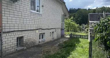 House in Muizelenai, Lithuania
