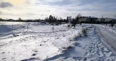 Terrain dans Didzioji Riese, Lituanie